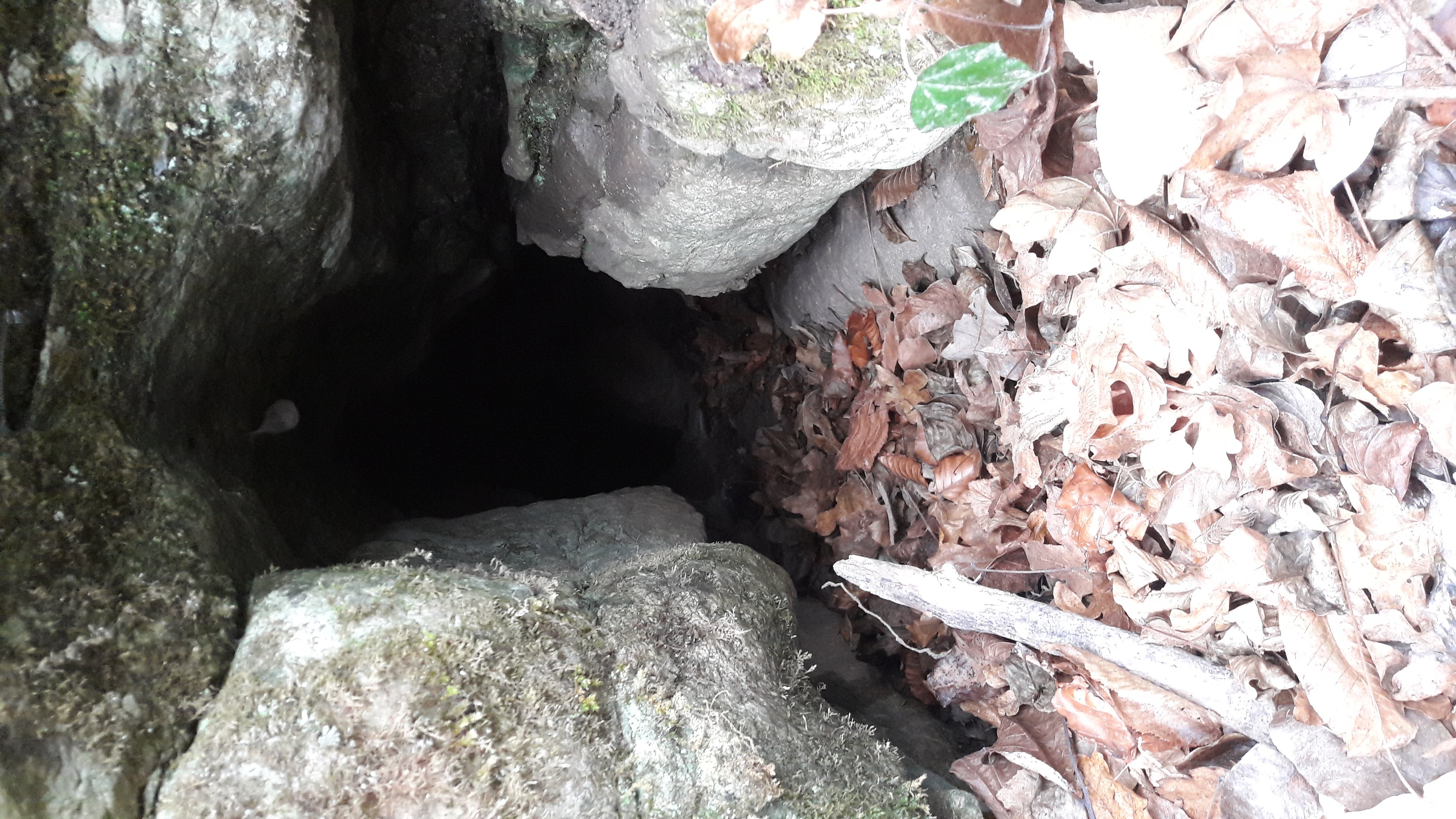 Pestera Nr.1 din Valea Raicovacia - Image 2